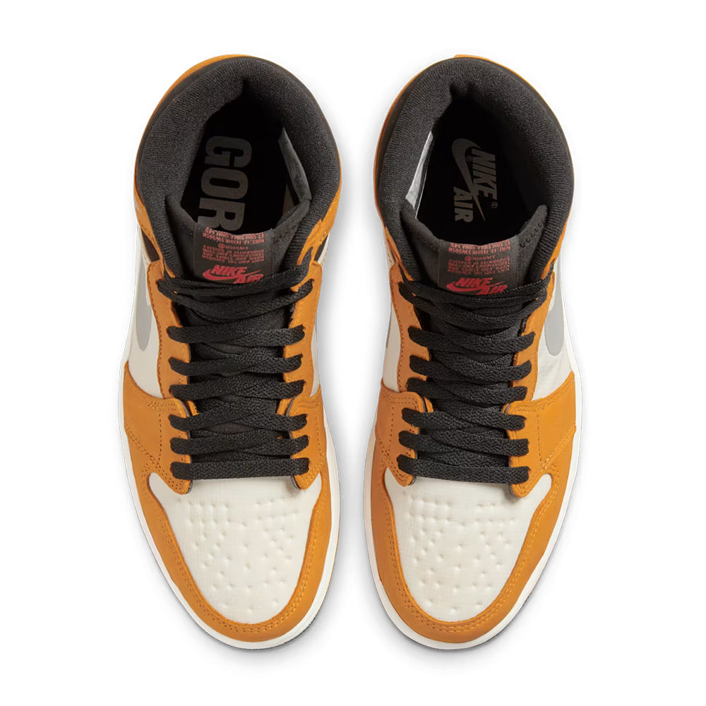 Air Jordan 1 Element