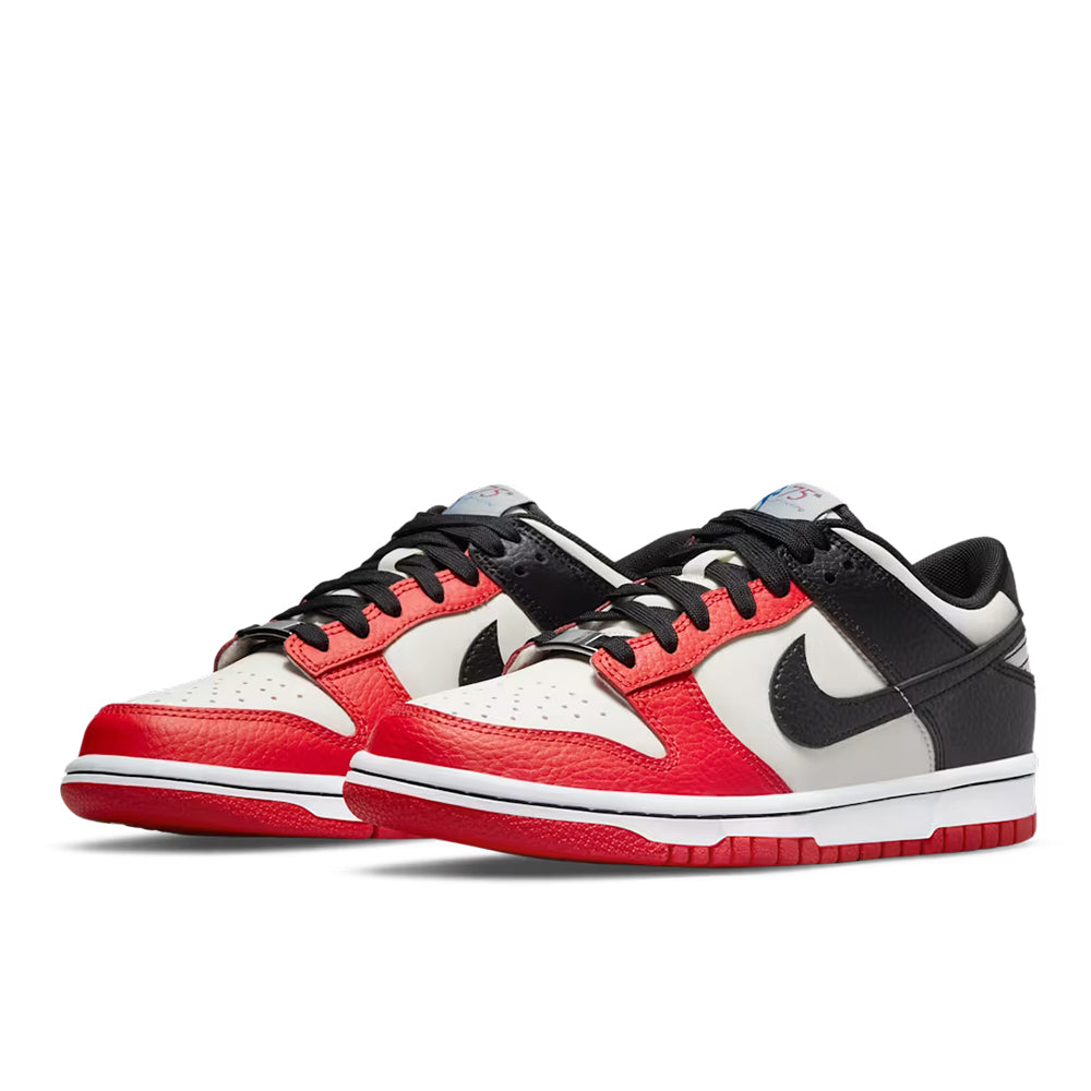 Nike Dunk Low Retro EMB