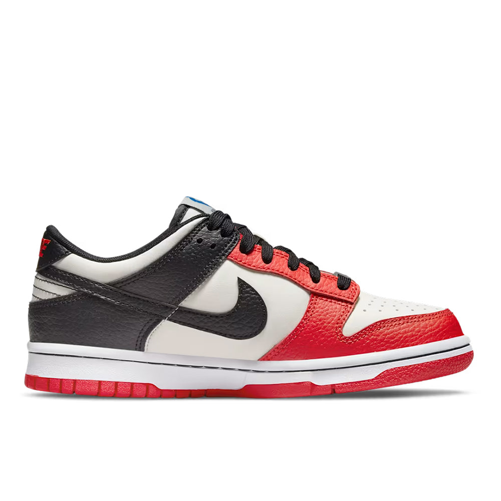 Nike Dunk Low Retro EMB