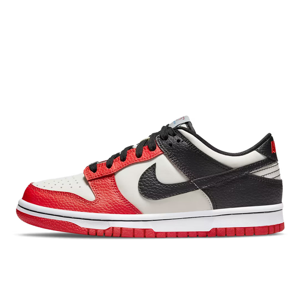 Nike Dunk Low Retro EMB