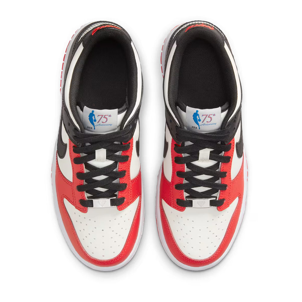 Nike Dunk Low Retro EMB