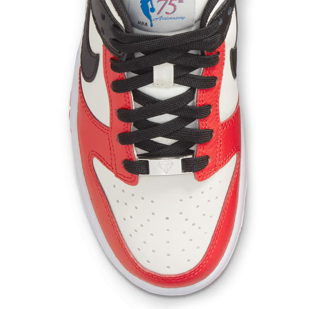 Nike Dunk Low Retro EMB