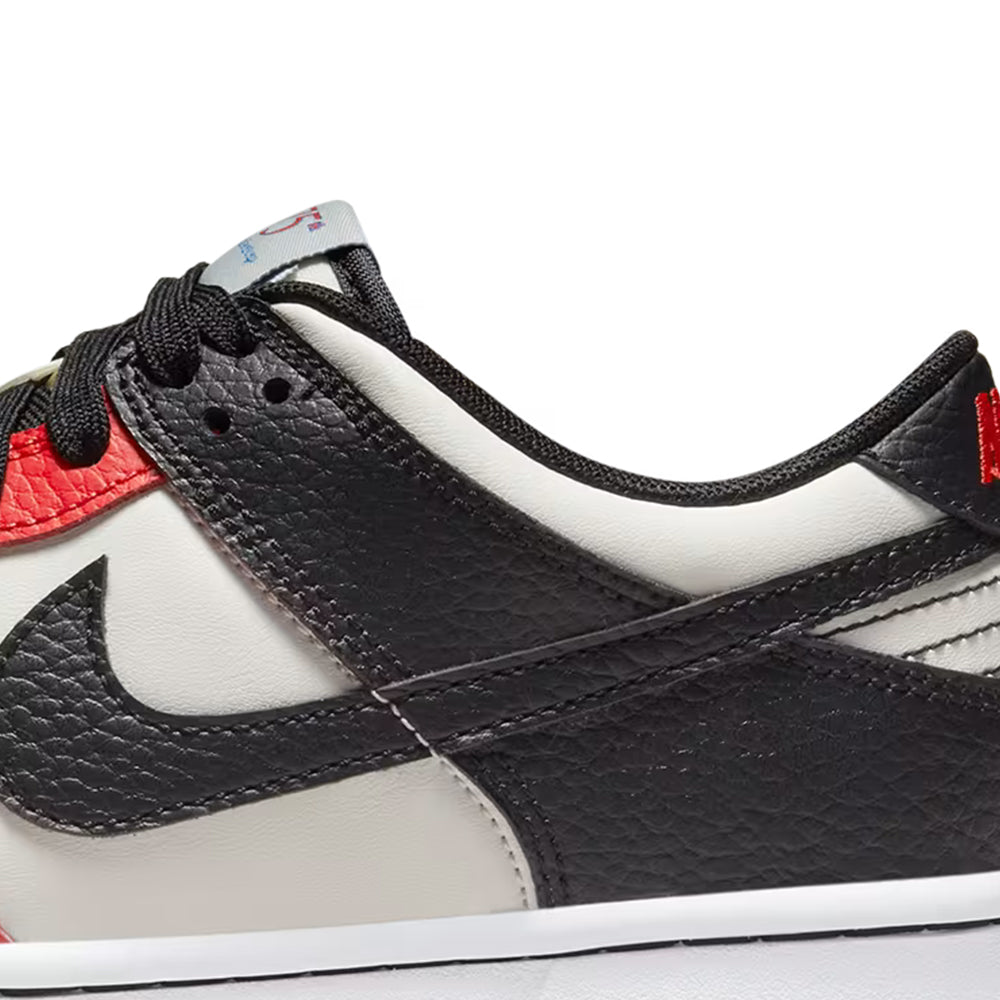 Nike Dunk Low Retro EMB